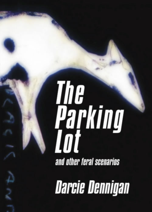 Cover of THE PARKING LOT by Darcie Dennigan